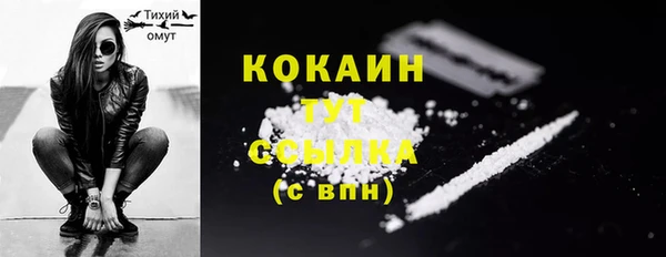 молекула духа Володарск