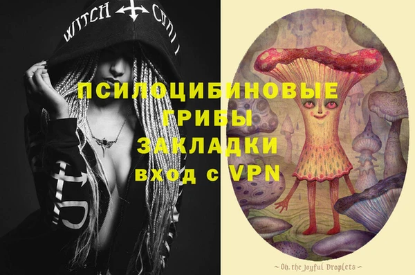 apvp Волоколамск