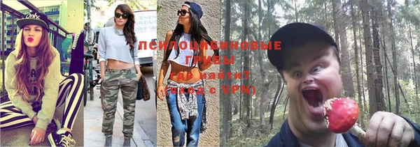 молекула духа Володарск