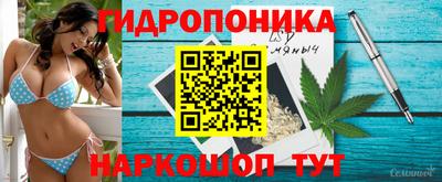 герыч Бердск
