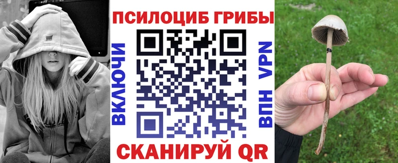 Псилоцибиновые грибы мухоморы  дарнет шоп  Маркс 