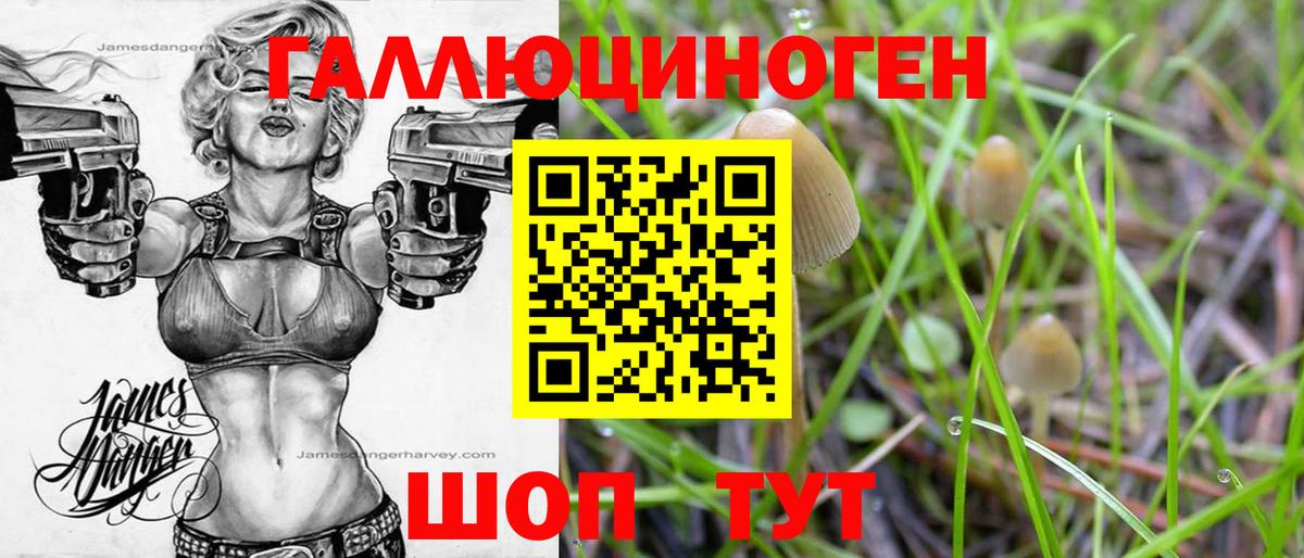 Маркс  Галлюциногенные грибы ЛСД  Вход с VPN 