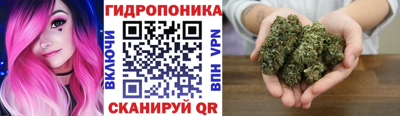 Конопля SATIVA & INDICA Маркс